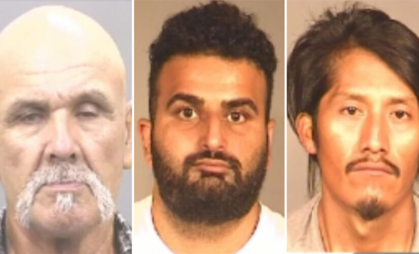 California child sex ring busted; 21 arrested: reports