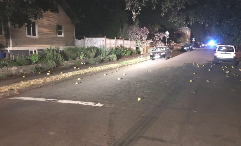 Portland weekend shooting saw over 80 bullets fired, police say