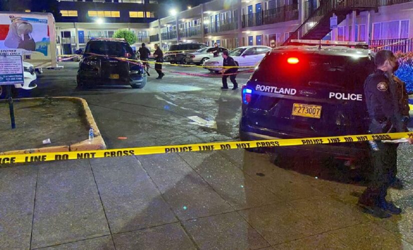 Portland mayor mocked over plans for ‘Welcome Back’ fest after year of riots: ‘Let’s all just roller skate’