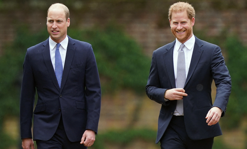‘It’s almost impossible for Harry to be trusted,’ royal sources say