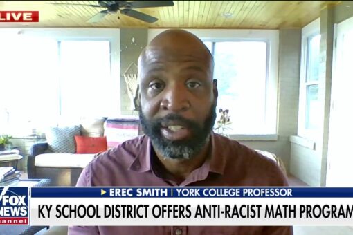 Professor torches school district’s ‘anti-racist’ math push: ‘Racism is an industry in America’