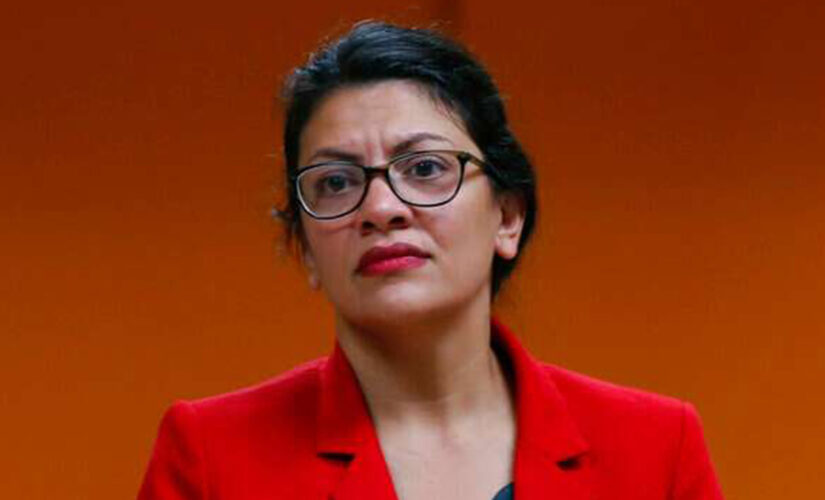 ‘Squad’ Dem Tlaib calls for defunding of ICE, CBP, DHS, claims they ‘terrorize’ migrants