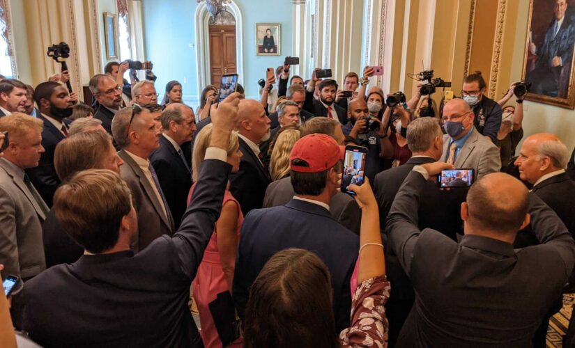 Conservative reaction pours in after Dem mayors, governors impose new mask mandates: ‘Kiss my mask’
