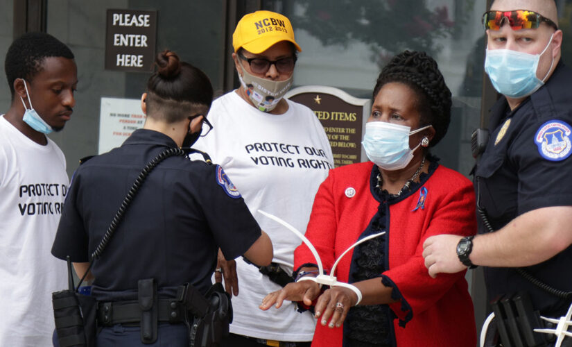 Rep. Sheila Jackson Lee, Texas Democrat, arrested during DC protest
