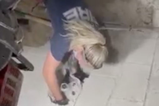 Firefighters rescue Ohio dog trapped between concrete walls