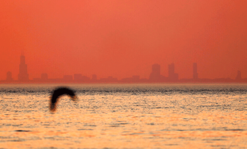 Wildfire smoke triggers air quality alerts in eastern US as monsoon season poses risk to West