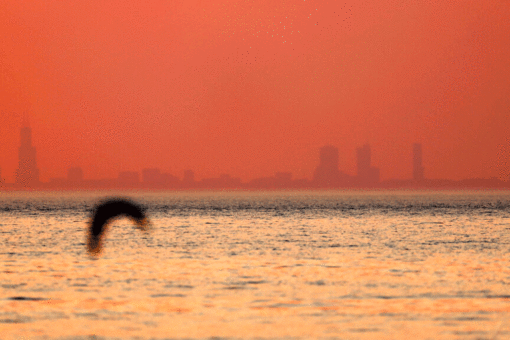 Wildfire smoke triggers air quality alerts in eastern US as monsoon season poses risk to West