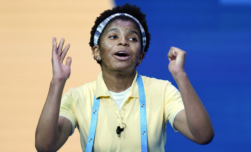 Winning words from the last 5 National Spelling Bees and their unexpected meanings