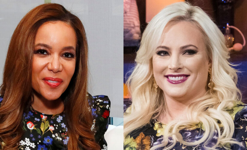 ‘The View’ hosts clash over Second Amendment: ‘Designed to protect slavery’ or ‘cornerstone’ of America?