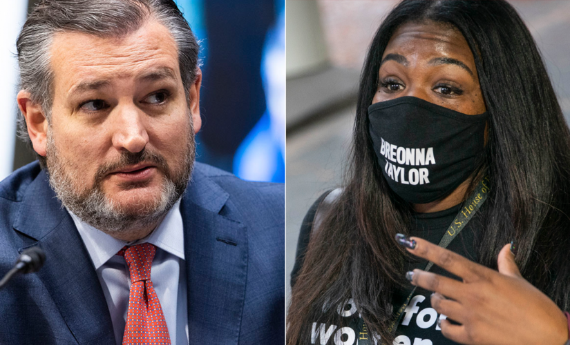 Ted Cruz blasts Cori Bush’s ‘stolen land’ tweet as ‘divisive lies’