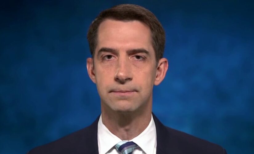Border crisis ‘about to get a lot worse’ if Dems push ‘massive amnesty’ plan: Tom Cotton