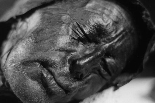 Iron Age-era mummy preserved in bog still has undigested last meal