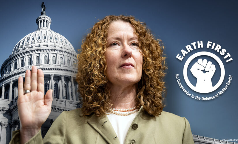 Another Obama official raises concerns about Biden nominee linked to eco-terrorism