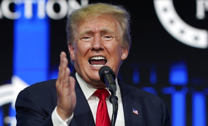 Trump goes all in on Texas all-GOP special election runoff for Congress