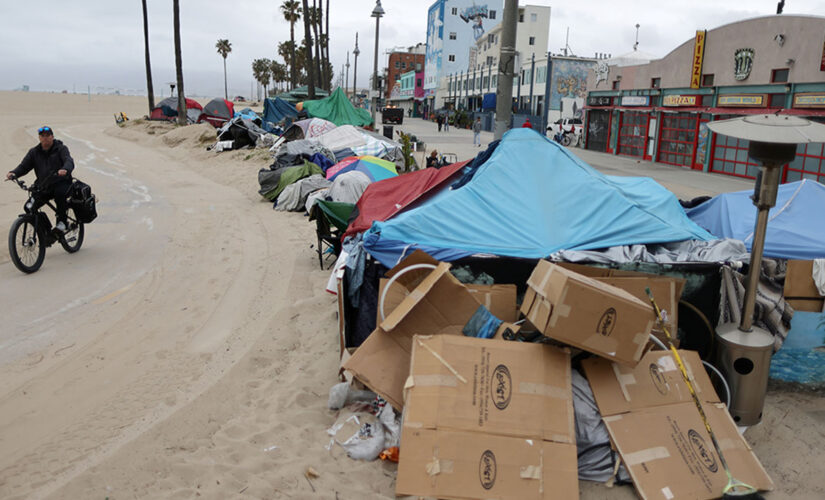 Los Angeles city council passes ordinace limiting homeless encampments amid frustration from residents