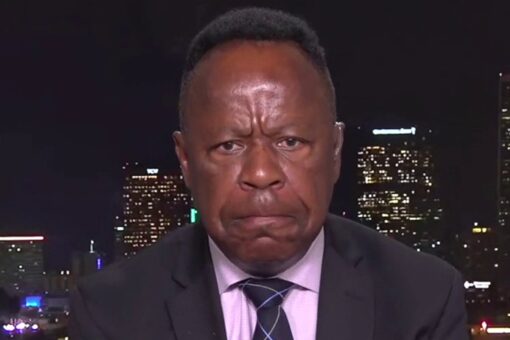 Democrats are masters of ‘race card’ lies and blaming others: Leo Terrell takes on violent crime surge