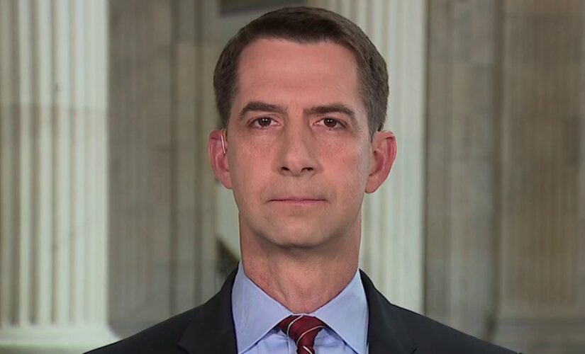 Sen. Cotton has ‘real doubts’ about US Navy’s ability to defeat China in battle