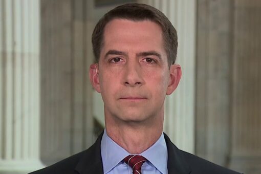 Sen. Cotton has ‘real doubts’ about US Navy’s ability to defeat China in battle