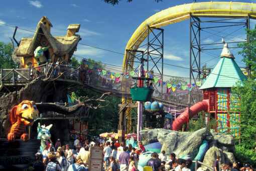 Rabid fox at Busch Gardens attacks boy: report