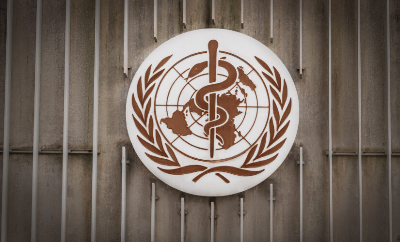 China ‘shocked’ over WHO plan for second phase of COVID origins study