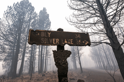 How to travel safely and avoid injury during wildfire season