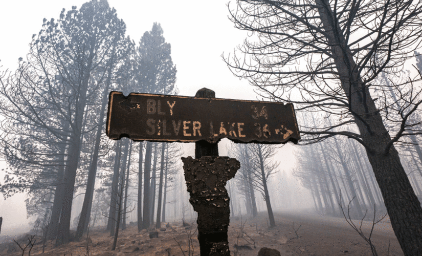 How to travel safely and avoid injury during wildfire season