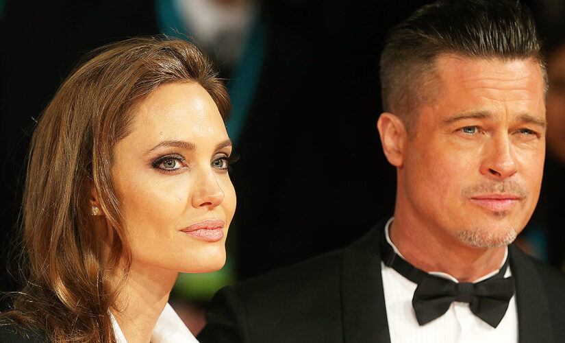 Angelina Jolie battling Brad Pitt in court over sale of French wine business