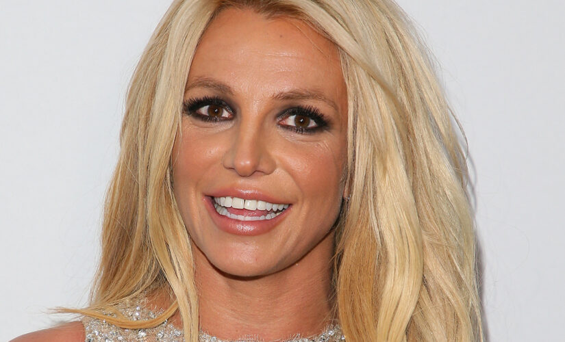 Britney Spears requests Jason Rubin be named conservator: 5 things to know about the accountant