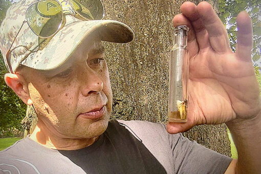 Man finds ‘witch bottle’ with human tooth and hair while searching woods