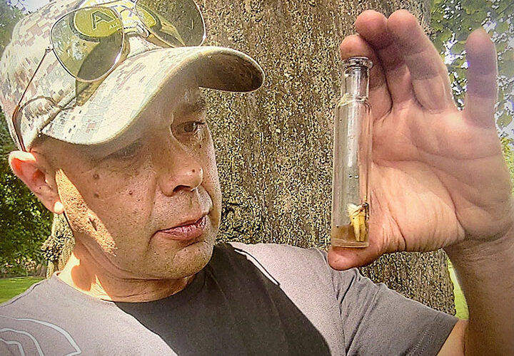 Man finds ‘witch bottle’ with human tooth and hair while searching woods