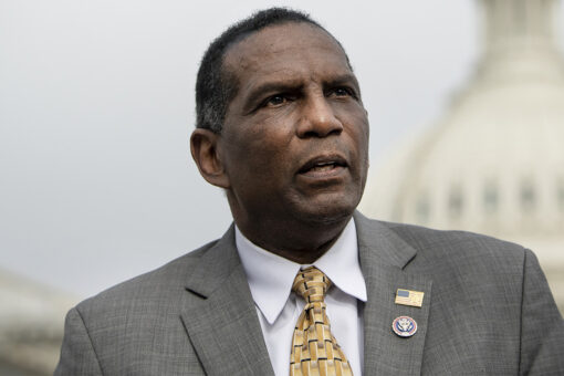 Burgess Owens: US history being ‘stolen and rewritten’ by CRT; students should be taught about Black founders