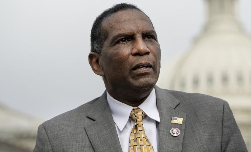 Burgess Owens: US history being ‘stolen and rewritten’ by CRT; students should be taught about Black founders