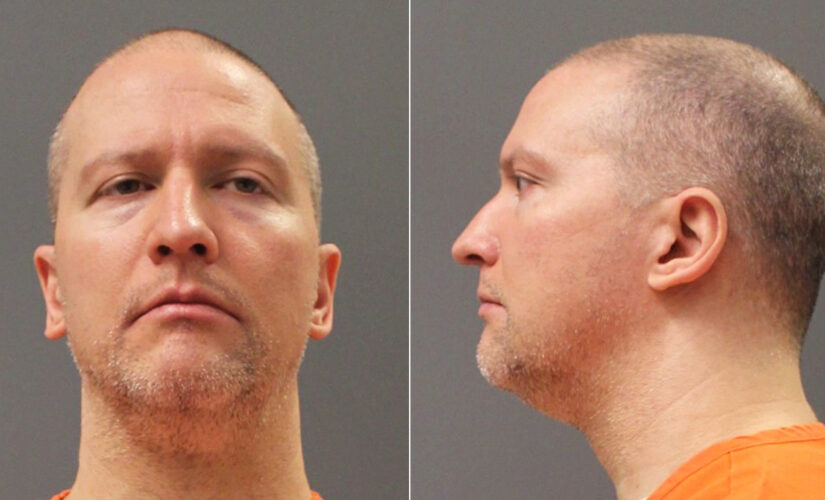 Derek Chauvin’s first prison mugshots released one month into 22 1/2 year sentence for murder of George Floyd