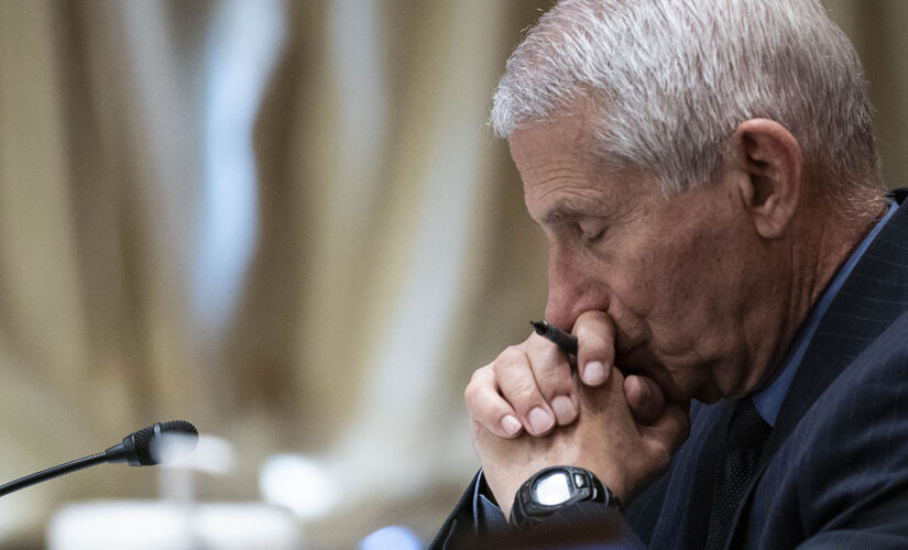 Fauci blames ‘ideological rigidity’ for political divide in vaccination debate: ‘I just don’t get it’