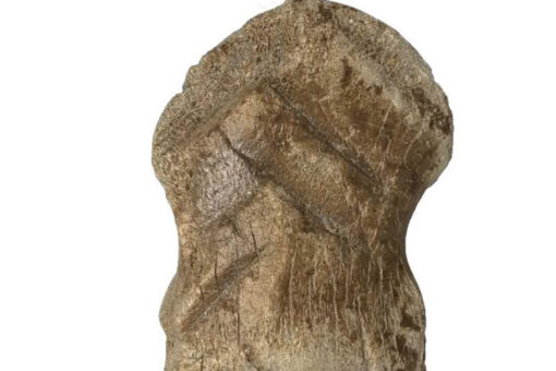 Prehistoric deer bone believed to be among world’s oldest pieces of art