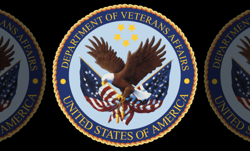 Iraqi war veteran says judge ‘punished’ him in custody case for calling VA hotline