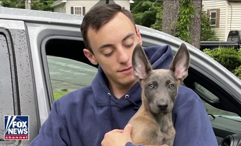 Army veteran surprised with service dog at 9/11 memorial in New York City