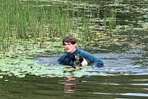 Vacationer rescues dog from drowning while visiting lake with girlfriend and her mom