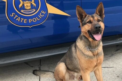 Police K9 killed after suspected drunk driver hits Michigan State Police vehicle
