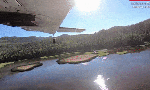 Thousands of fish dropped from plane to restock high-elevation lakes in Utah
