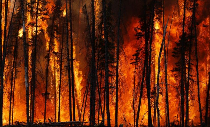 Town ravaged by wildfire after enduring Canada’s all-time hottest temps