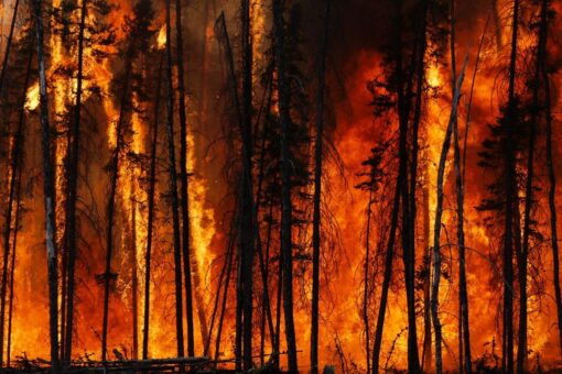 Town ravaged by wildfire after enduring Canada’s all-time hottest temps