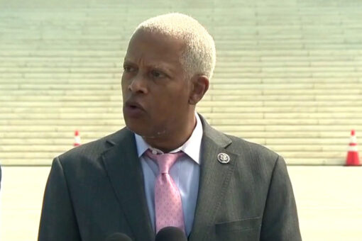Democratic Rep. Hank Johnson arrested by Capitol Police during protest