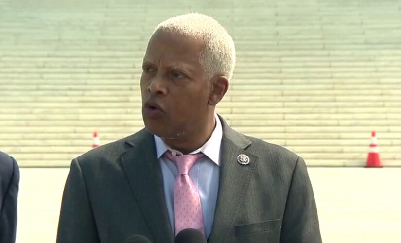 Democratic Rep. Hank Johnson arrested by Capitol Police during protest
