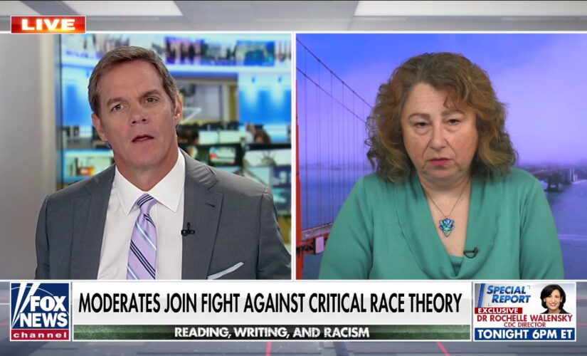 Soviet immigrant, registered Democrat warns critical race theory resembles Marxist curriculum