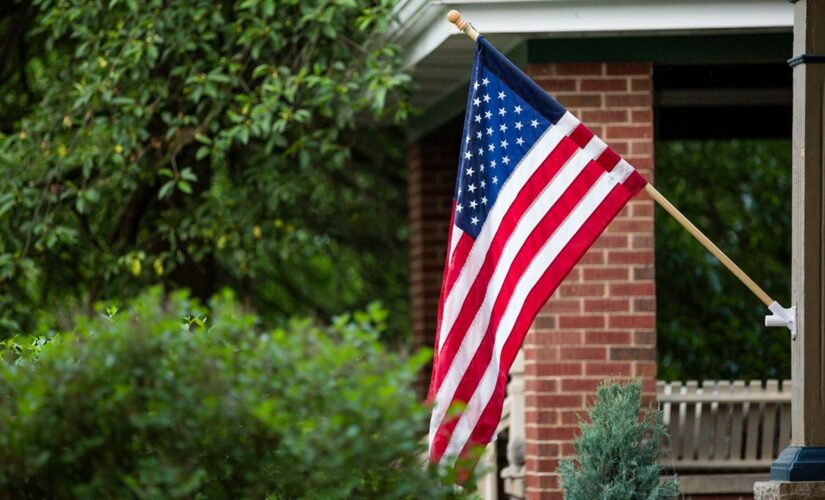 Sen. Cotton slams NYT for suggesting the American flag is divisive