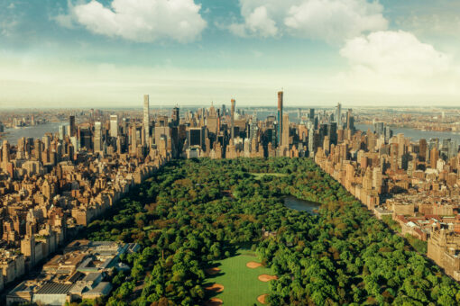 Maniac punches carriage horse, attacks two others in Central Park: driver
