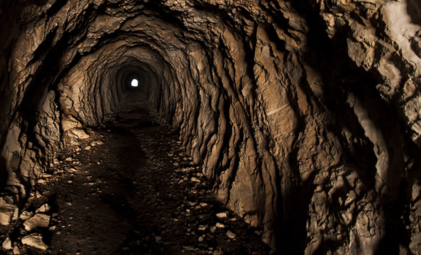 Mysterious, bat-filled tunnels found under newly bought house