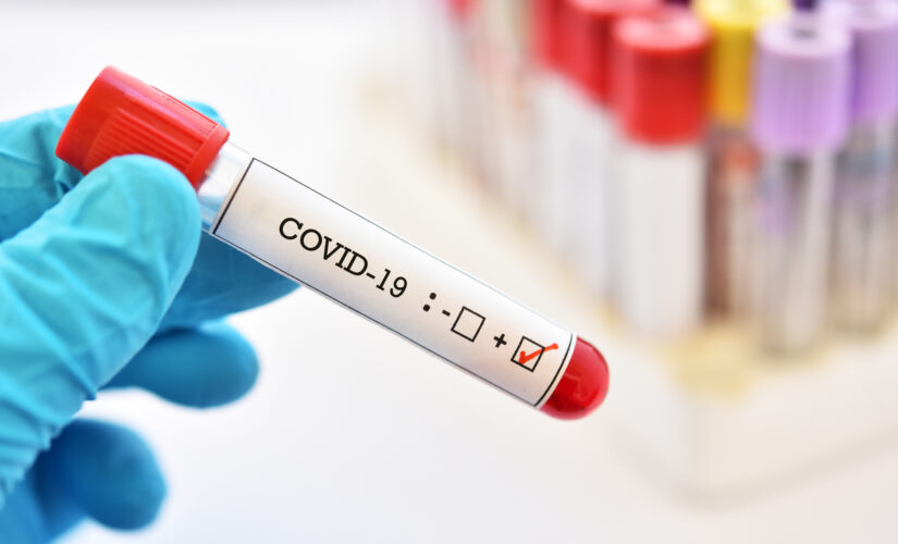 New York sleepaway camp reports COVID-19 infections in 31 campers under age 12