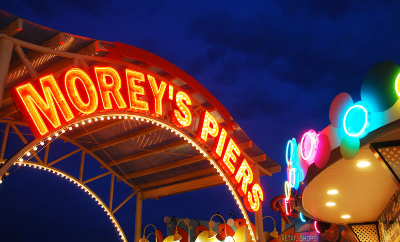 Seagull hits teenage girl in face on NJ amusement park ride